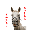 笑うウマには福きたる♪あけおめスタンプ（個別スタンプ：6）