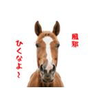 笑うウマには福きたる♪あけおめスタンプ（個別スタンプ：7）