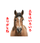 笑うウマには福きたる♪あけおめスタンプ（個別スタンプ：8）