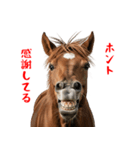 笑うウマには福きたる♪あけおめスタンプ（個別スタンプ：9）