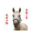 笑うウマには福きたる♪あけおめスタンプ（個別スタンプ：11）