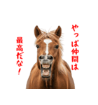 笑うウマには福きたる♪あけおめスタンプ（個別スタンプ：13）