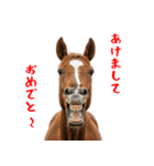 笑うウマには福きたる♪あけおめスタンプ（個別スタンプ：14）