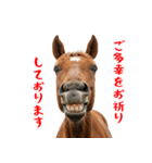 笑うウマには福きたる♪あけおめスタンプ（個別スタンプ：15）