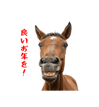 笑うウマには福きたる♪あけおめスタンプ（個別スタンプ：16）