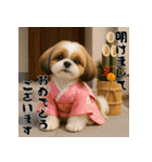 毎年使える♡シーズーの年末年始スタンプ（個別スタンプ：1）