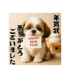 毎年使える♡シーズーの年末年始スタンプ（個別スタンプ：3）