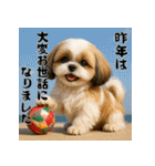毎年使える♡シーズーの年末年始スタンプ（個別スタンプ：5）