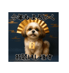 毎年使える♡シーズーの年末年始スタンプ（個別スタンプ：7）