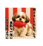 毎年使える♡シーズーの年末年始スタンプ（個別スタンプ：8）