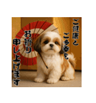 毎年使える♡シーズーの年末年始スタンプ（個別スタンプ：11）