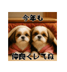 毎年使える♡シーズーの年末年始スタンプ（個別スタンプ：13）