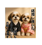 毎年使える♡シーズーの年末年始スタンプ（個別スタンプ：16）