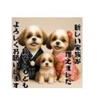 毎年使える♡シーズーの年末年始スタンプ（個別スタンプ：17）