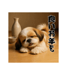 毎年使える♡シーズーの年末年始スタンプ（個別スタンプ：20）