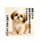 毎年使える♡シーズーの年末年始スタンプ（個別スタンプ：22）