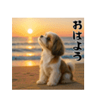 毎年使える♡シーズーの年末年始スタンプ（個別スタンプ：23）