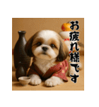 毎年使える♡シーズーの年末年始スタンプ（個別スタンプ：25）