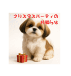 毎年使える♡シーズーの年末年始スタンプ（個別スタンプ：26）