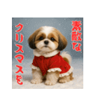 毎年使える♡シーズーの年末年始スタンプ（個別スタンプ：27）