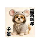 毎年使える♡シーズーの年末年始スタンプ（個別スタンプ：29）