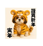 毎年使える♡シーズーの年末年始スタンプ（個別スタンプ：31）