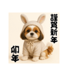 毎年使える♡シーズーの年末年始スタンプ（個別スタンプ：32）