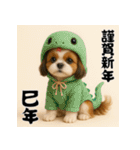 毎年使える♡シーズーの年末年始スタンプ（個別スタンプ：34）