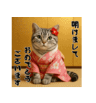 毎年使えるアメリカンショートヘア年末年始（個別スタンプ：1）