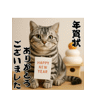 毎年使えるアメリカンショートヘア年末年始（個別スタンプ：3）
