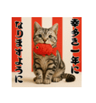 毎年使えるアメリカンショートヘア年末年始（個別スタンプ：4）