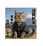 毎年使えるアメリカンショートヘア年末年始（個別スタンプ：6）