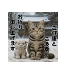 毎年使えるアメリカンショートヘア年末年始（個別スタンプ：11）