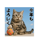 毎年使えるアメリカンショートヘア年末年始（個別スタンプ：12）