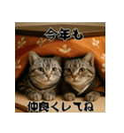 毎年使えるアメリカンショートヘア年末年始（個別スタンプ：13）