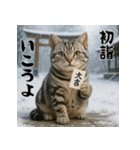 毎年使えるアメリカンショートヘア年末年始（個別スタンプ：14）