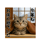 毎年使えるアメリカンショートヘア年末年始（個別スタンプ：15）