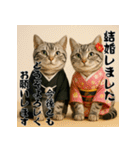 毎年使えるアメリカンショートヘア年末年始（個別スタンプ：16）