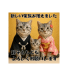毎年使えるアメリカンショートヘア年末年始（個別スタンプ：17）