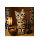 毎年使えるアメリカンショートヘア年末年始（個別スタンプ：18）