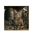 毎年使えるアメリカンショートヘア年末年始（個別スタンプ：19）