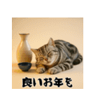 毎年使えるアメリカンショートヘア年末年始（個別スタンプ：20）