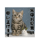毎年使えるアメリカンショートヘア年末年始（個別スタンプ：21）
