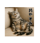 毎年使えるアメリカンショートヘア年末年始（個別スタンプ：24）