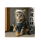 毎年使えるアメリカンショートヘア年末年始（個別スタンプ：25）