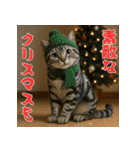 毎年使えるアメリカンショートヘア年末年始（個別スタンプ：27）