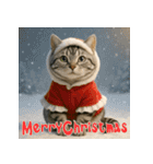 毎年使えるアメリカンショートヘア年末年始（個別スタンプ：28）