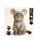 毎年使えるアメリカンショートヘア年末年始（個別スタンプ：29）