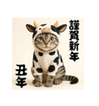 毎年使えるアメリカンショートヘア年末年始（個別スタンプ：30）