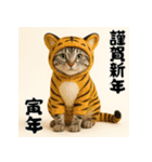 毎年使えるアメリカンショートヘア年末年始（個別スタンプ：31）